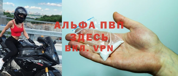 стафф Алексин
