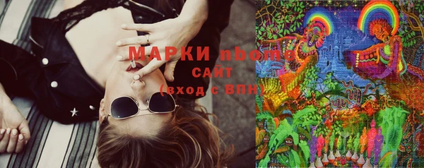 стафф Алексин