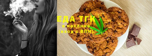 стафф Алексин