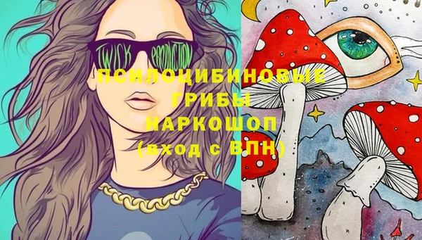 гидра Алексеевка