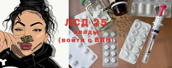 гидра Алексеевка