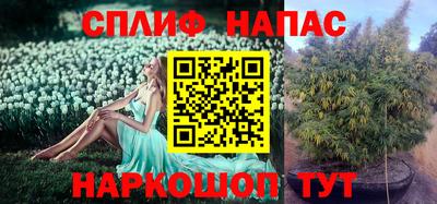 трава Краснознаменск