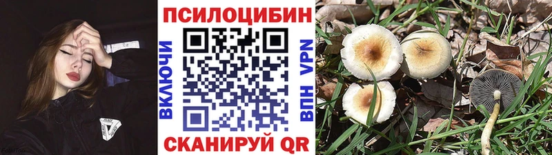 магазин    Дубна  Галлюциногенные грибы MAGIC MUSHROOMS 