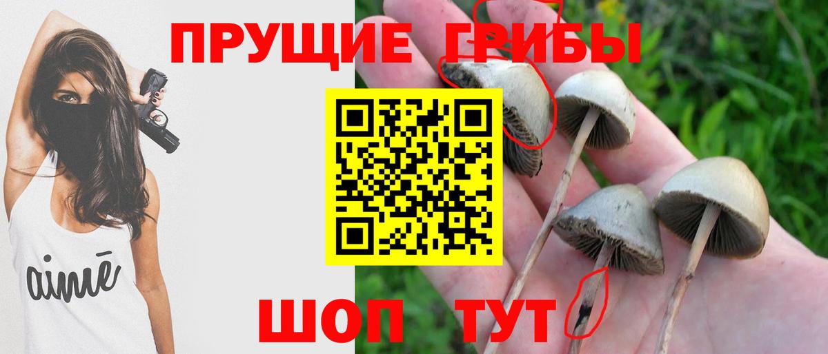 купить закладку  Псилоцибиновые грибы GOLDEN TEACHER  Галлюциногенные грибы мухоморы  Вход с VPN  Дубна 